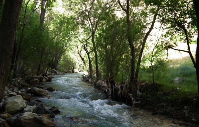 روستای ارنگه